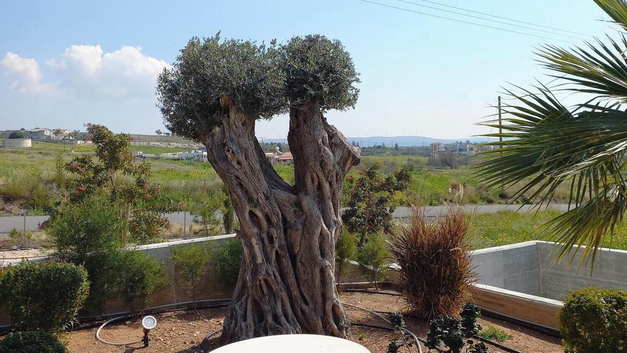 Photo of Outdoor in Anarita