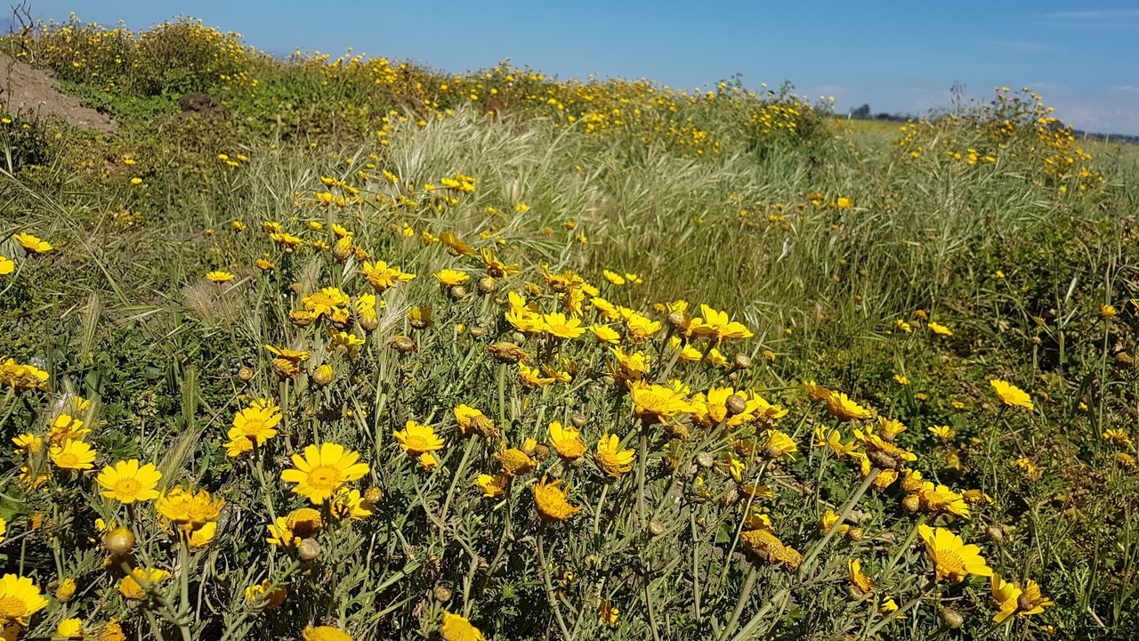 Photo of Outdoor in Cyprus