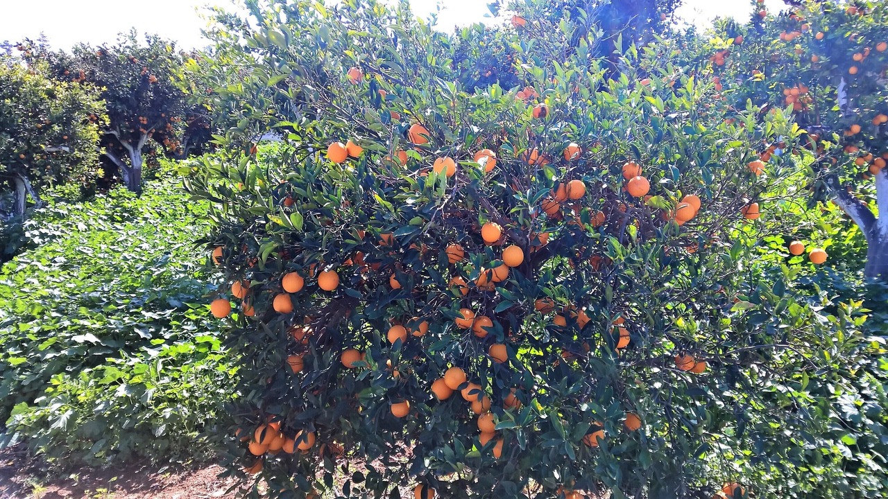 Photo of Outdoor in Cyprus