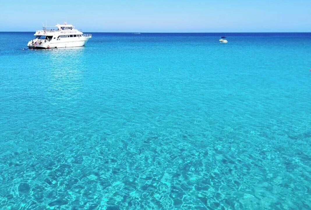 Photo of Others in Paphos