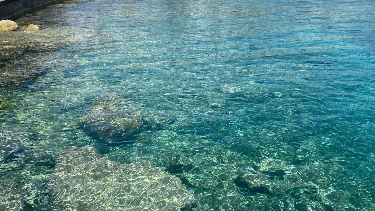 Photo of Others in Paphos