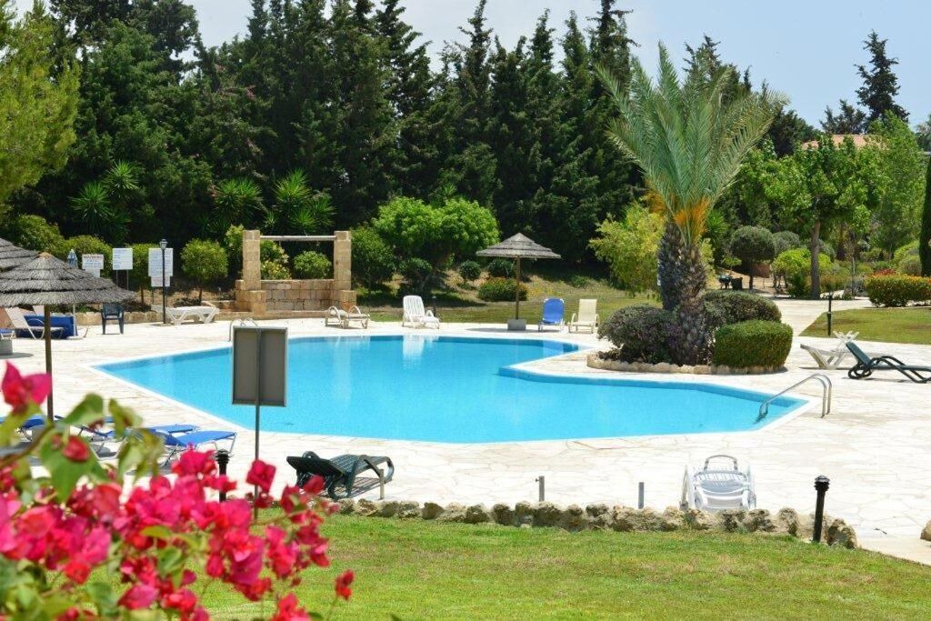 Photo of Outdoor in Paphos