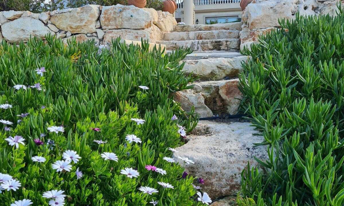 Photo of Outdoor in Ayia Marina Chrysochous