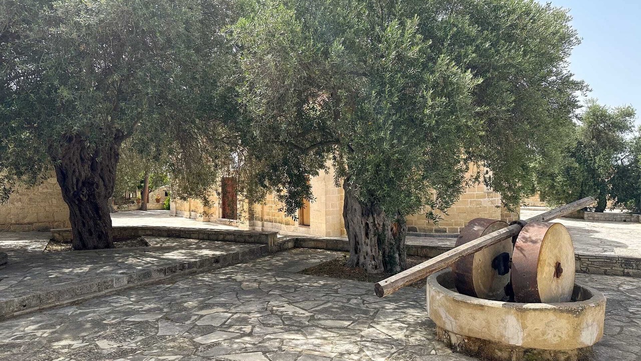 Photo of Outdoor in Simou