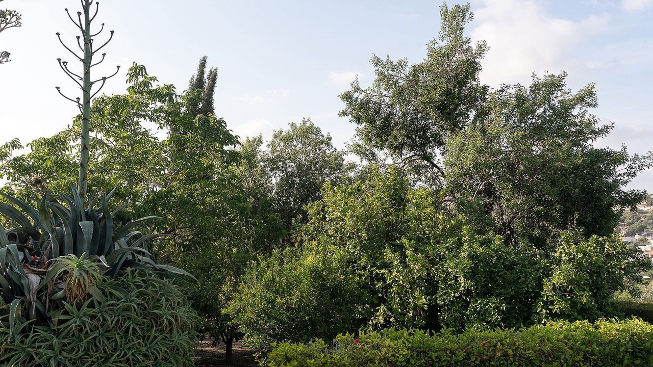 Photo of Outdoor in Letymvou