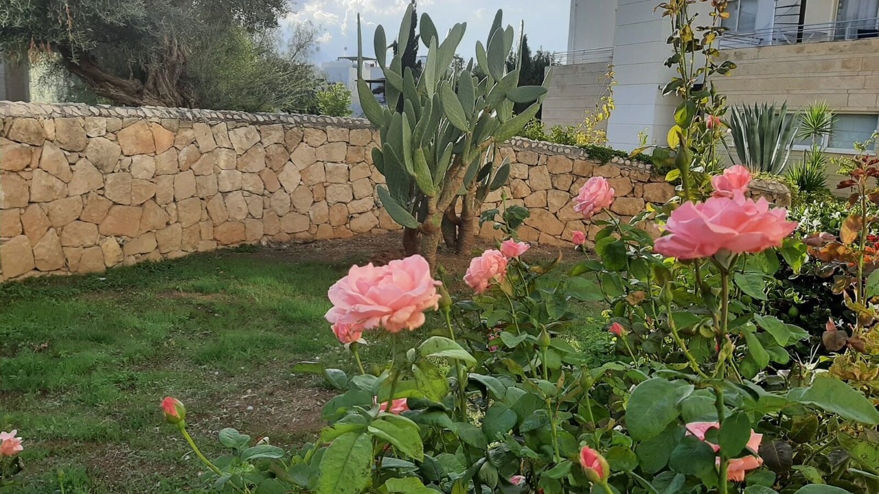 Photo of Outdoor in Karavas
