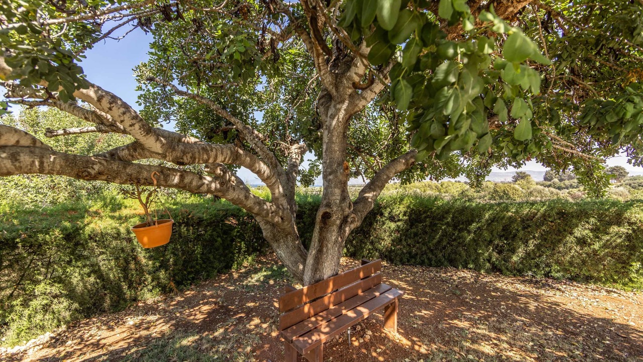 Photo of Outdoor in Latchi