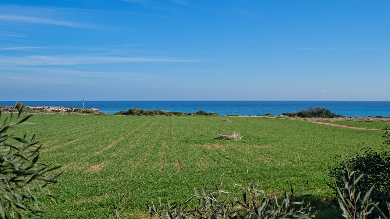 Photo of Outdoor in Protaras