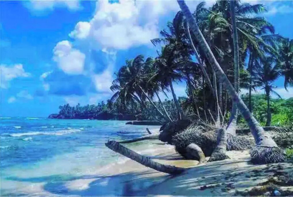 Photo of Others in Little Corn Island