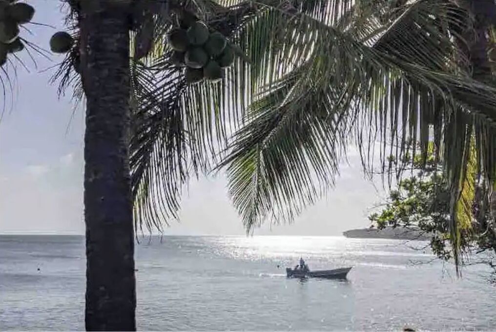 Photo of Others in Little Corn Island
