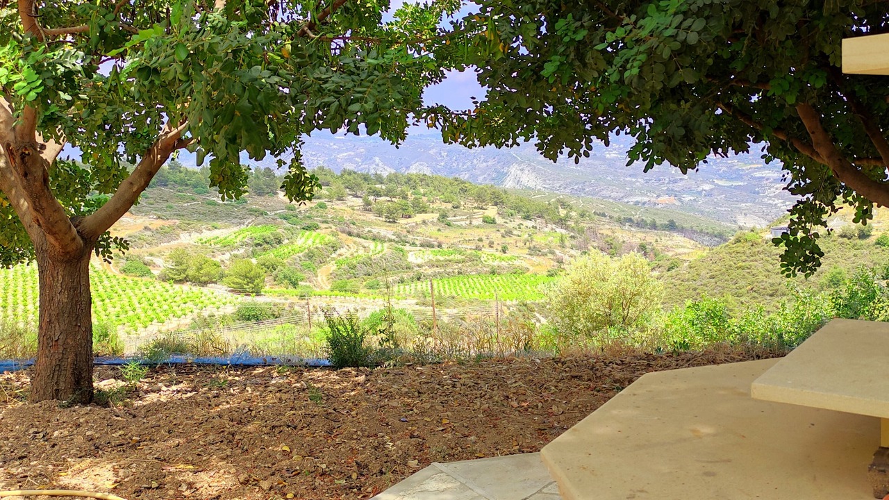 Photo of Outdoor in Silikou
