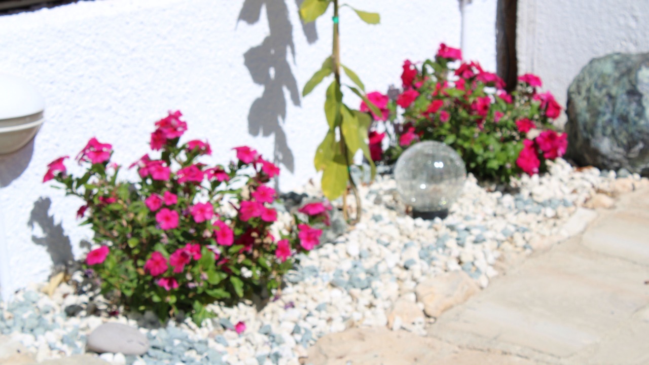 Photo of Outdoor in Peyia Town
