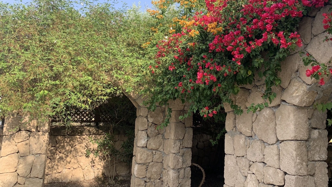 Photo of Outdoor in Ozankoy