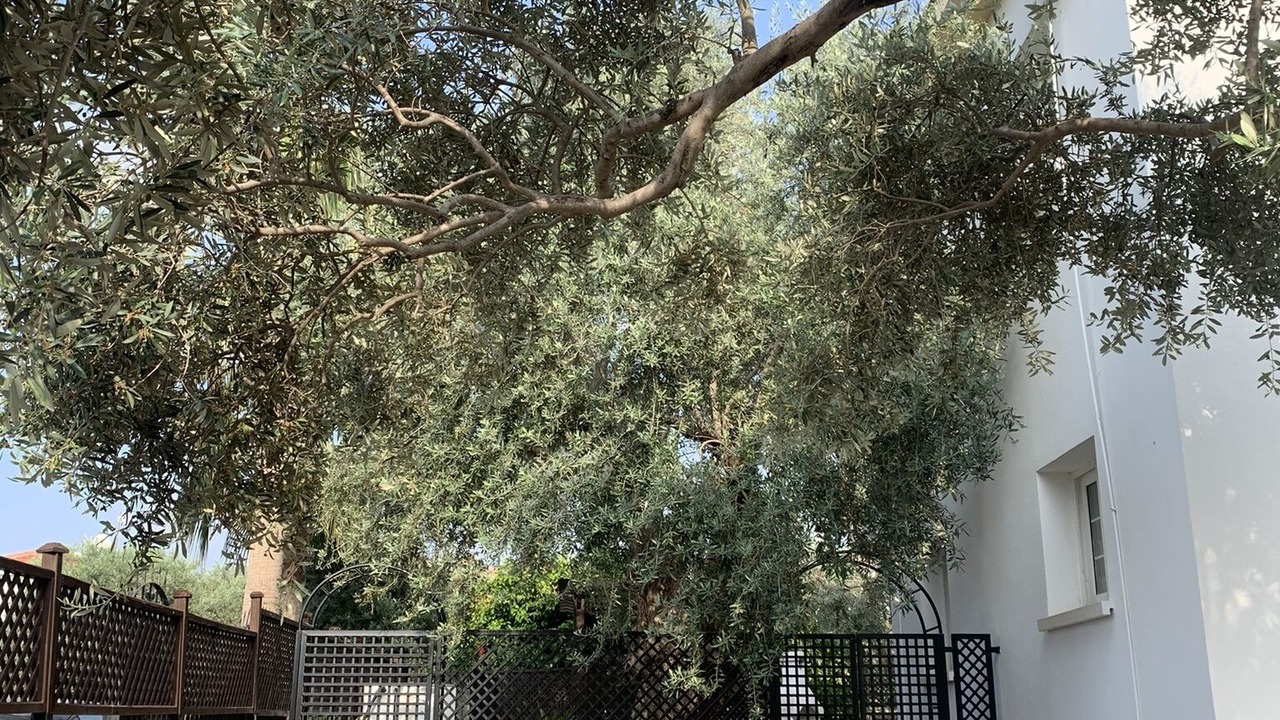 Photo of Outdoor in Ozankoy