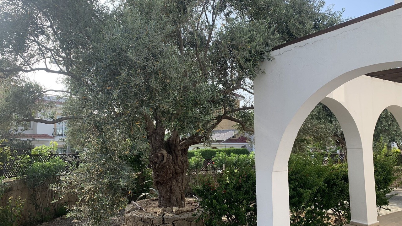 Photo of Outdoor in Ozankoy