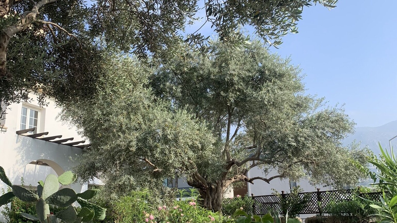 Photo of Outdoor in Ozankoy