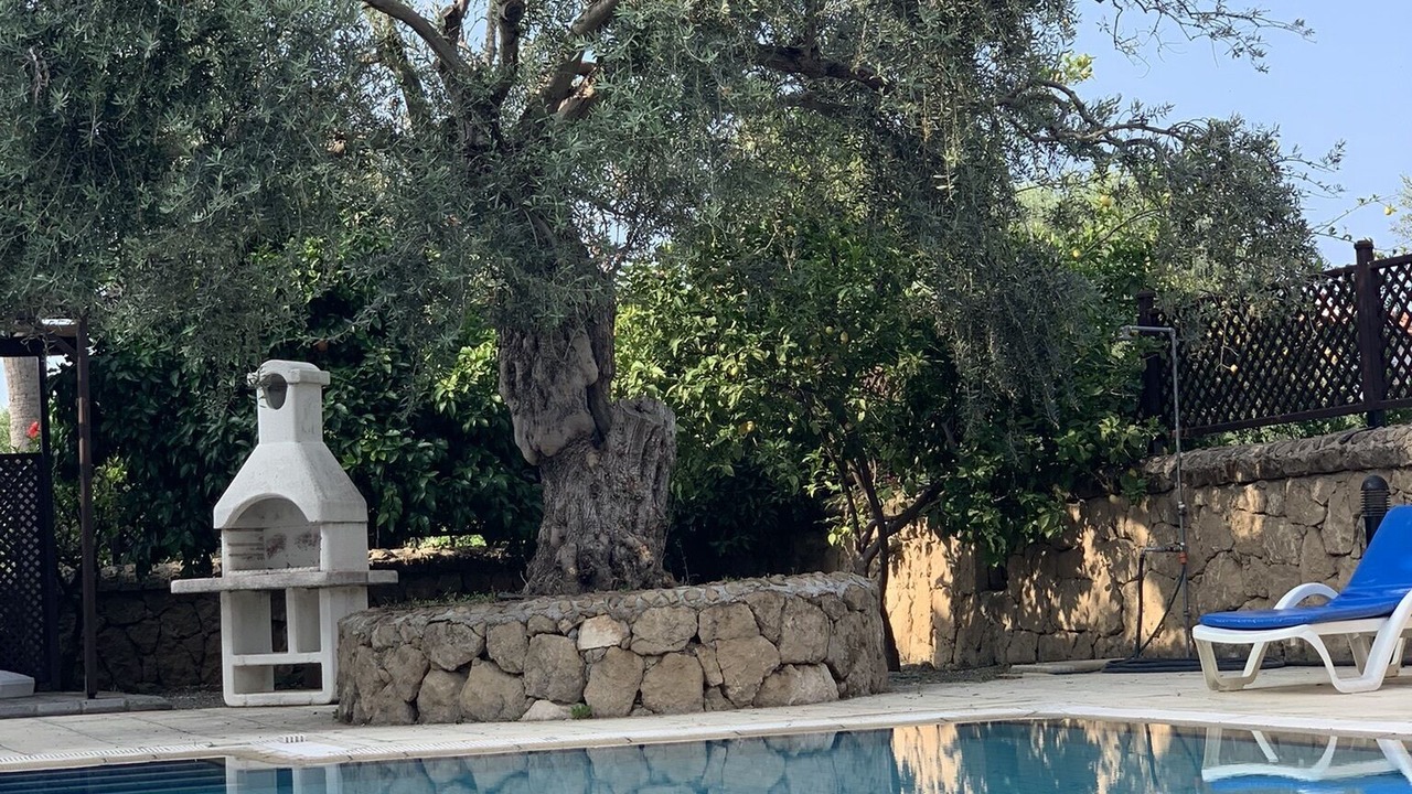 Photo of Outdoor in Ozankoy