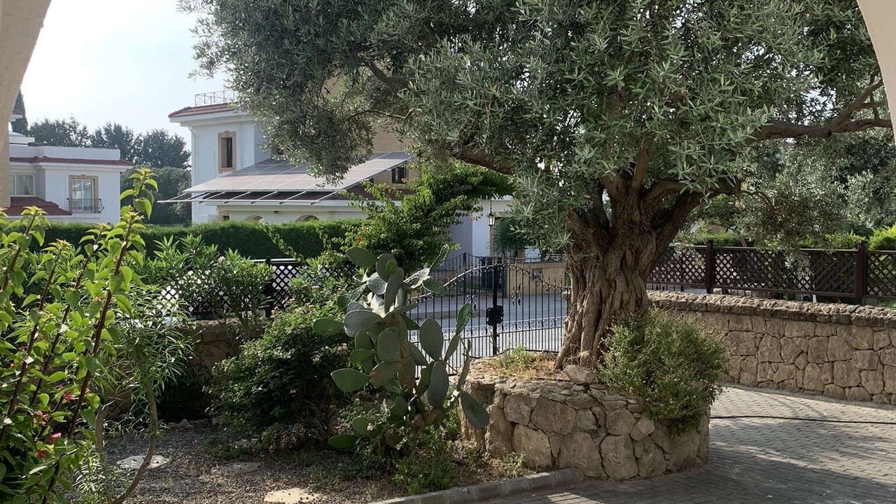 Photo of Outdoor in Ozankoy
