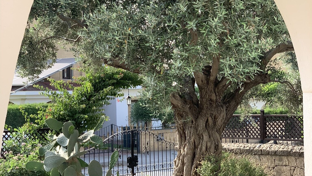 Photo of Others in Ozankoy
