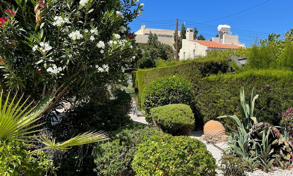Photo of Outdoor in Peyia Town