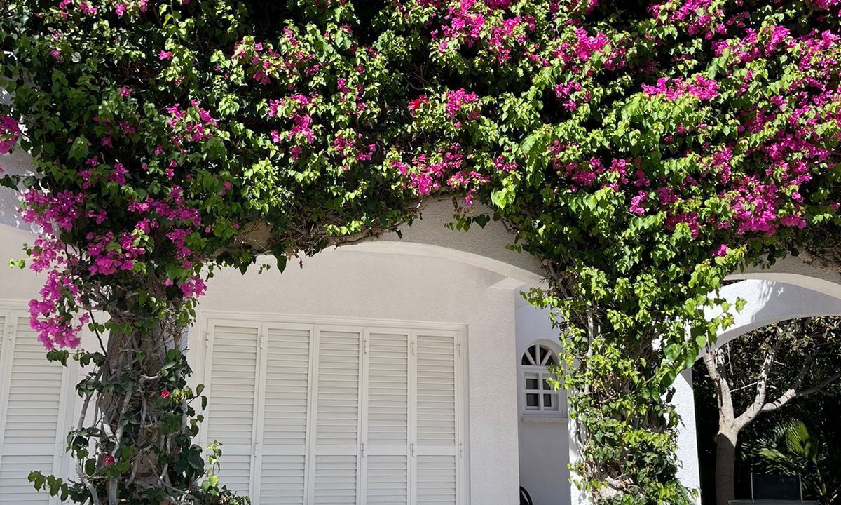 Photo of Outdoor in Peyia Town