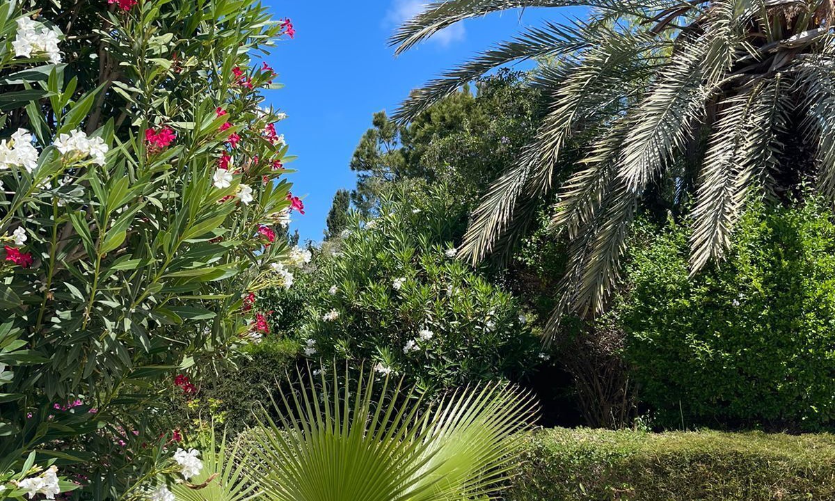 Photo of Outdoor in Peyia Town