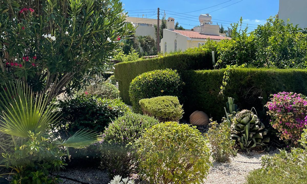 Photo of Outdoor in Peyia Town