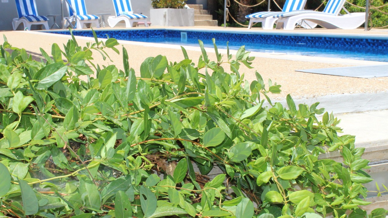 Photo of Outdoor in Ypsonas