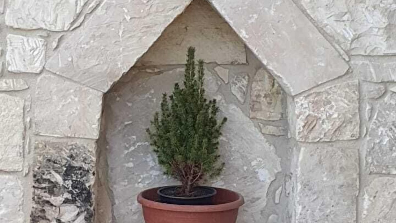 Photo of Outdoor in Geroskipou