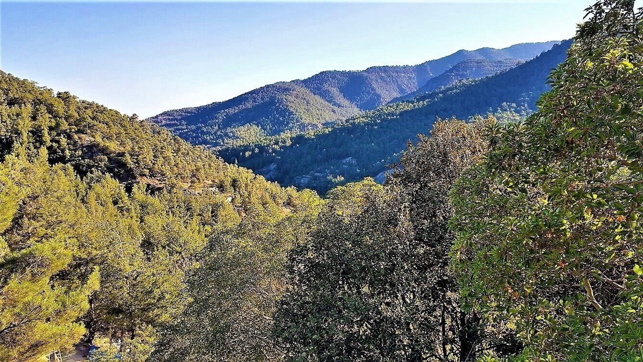 Photo of Outdoor in Vasa Koilaniou