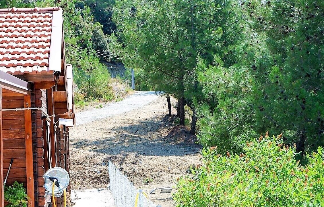 Photo of Outdoor in Vasa Koilaniou