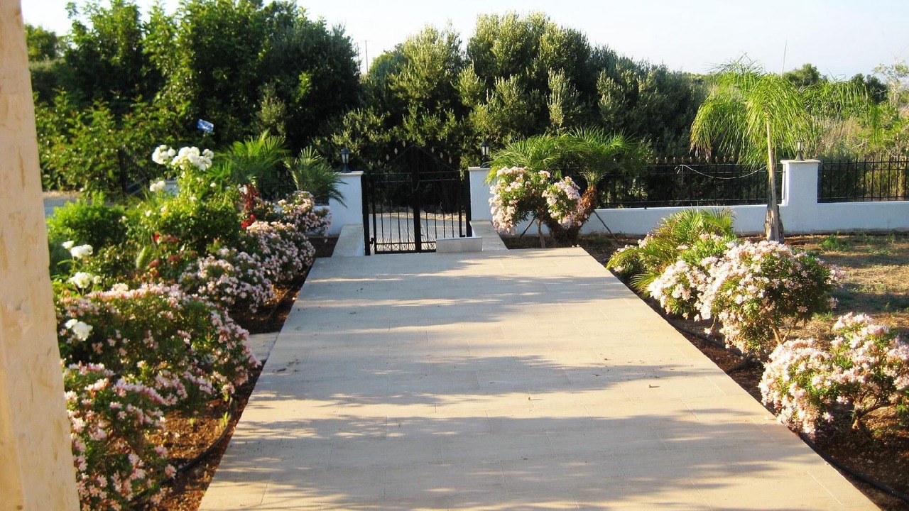 Photo of Outdoor in Tala