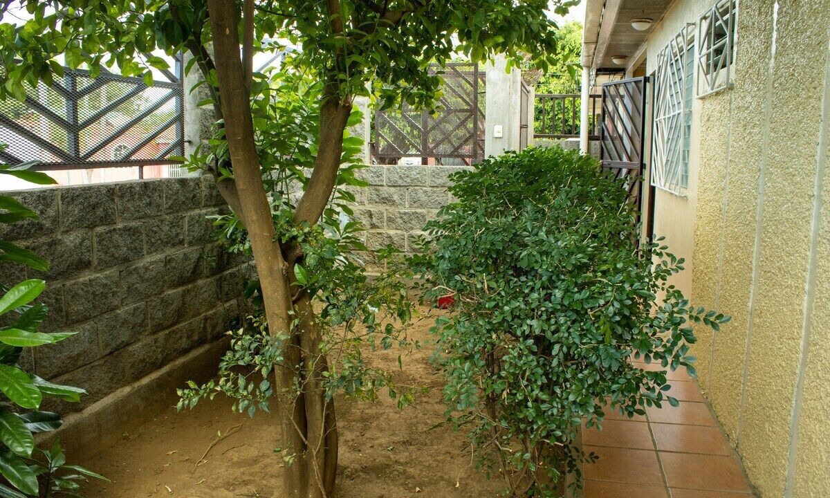 Photo of Outdoor in Managua