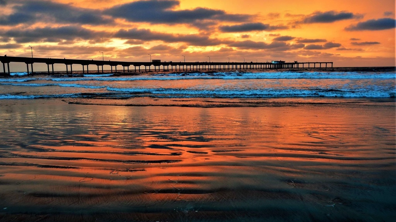 Photo of Others in Mission Beach