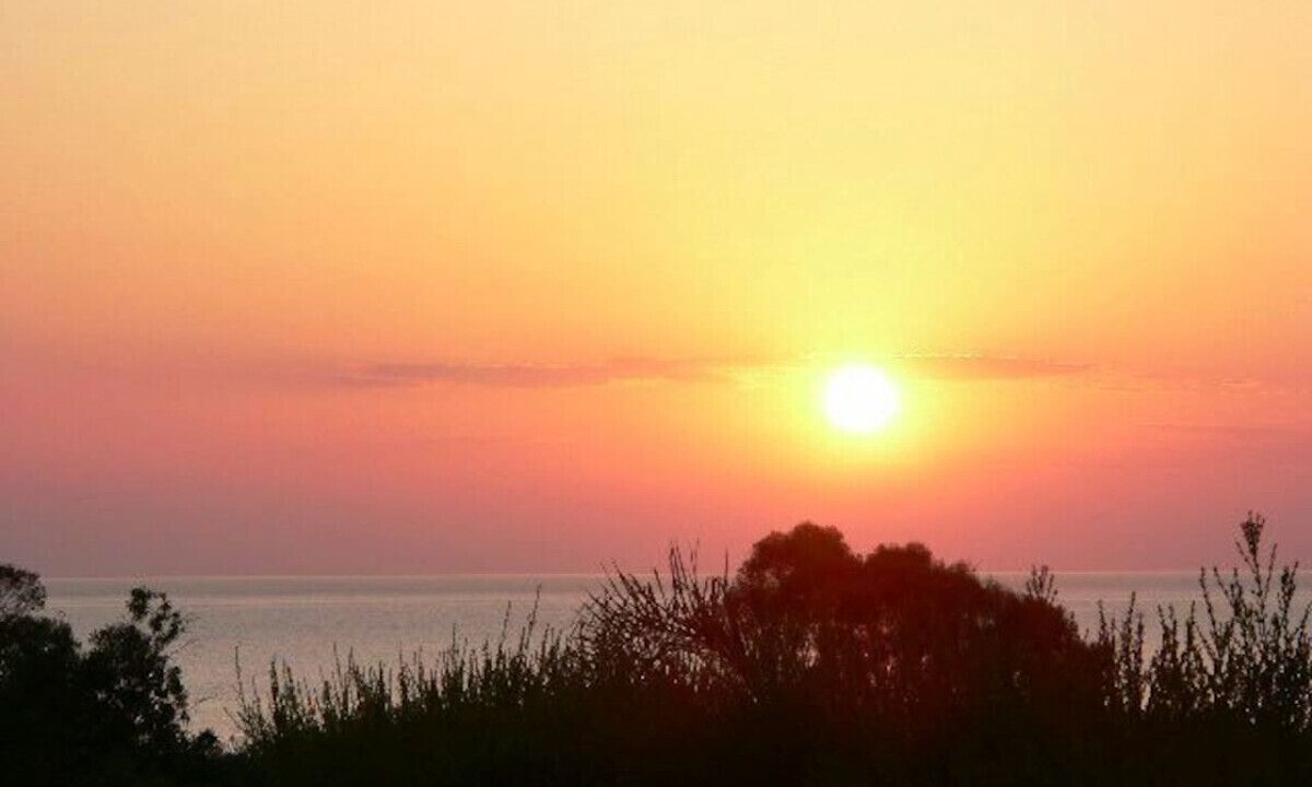 Photo of Others in Cape Greko