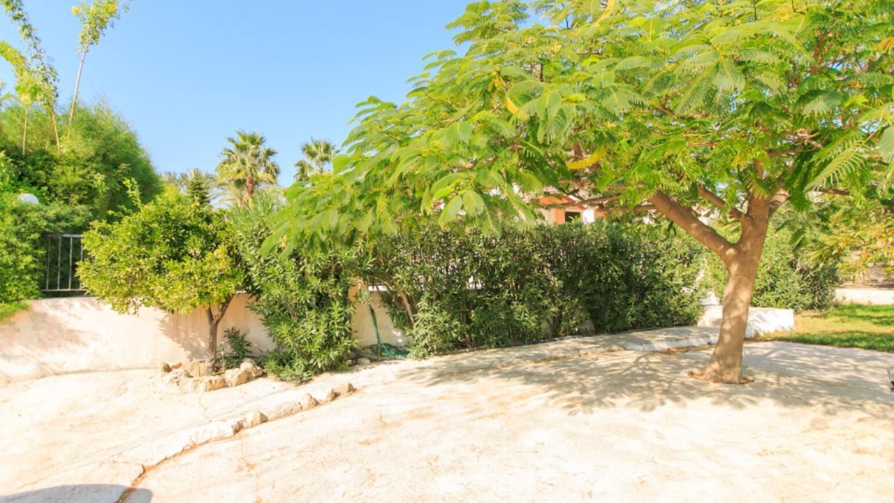 Photo of Others in Pegeia