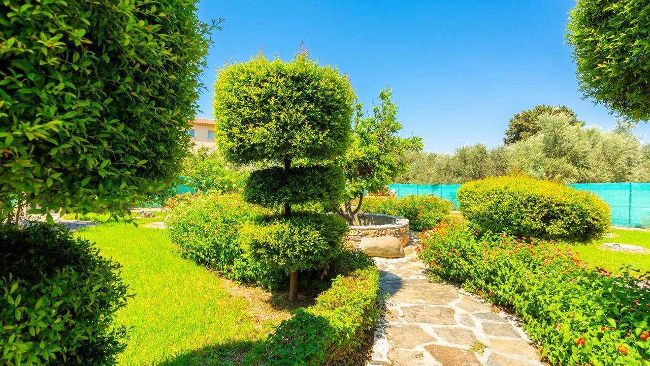 Photo of Outdoor in Prodromi