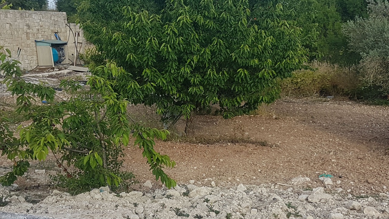 Photo of Outdoor in Lasa