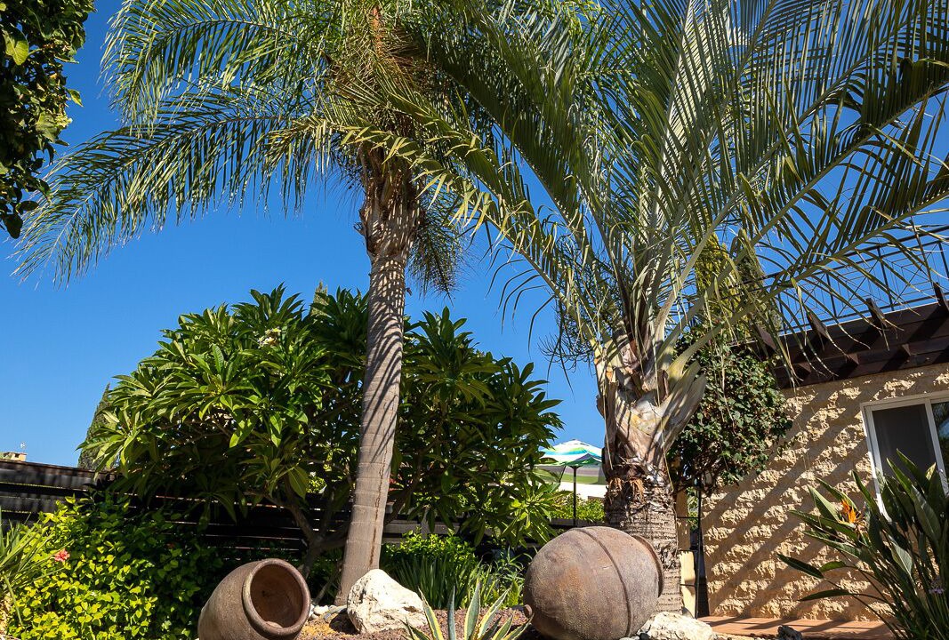 Photo of Outdoor in Polis