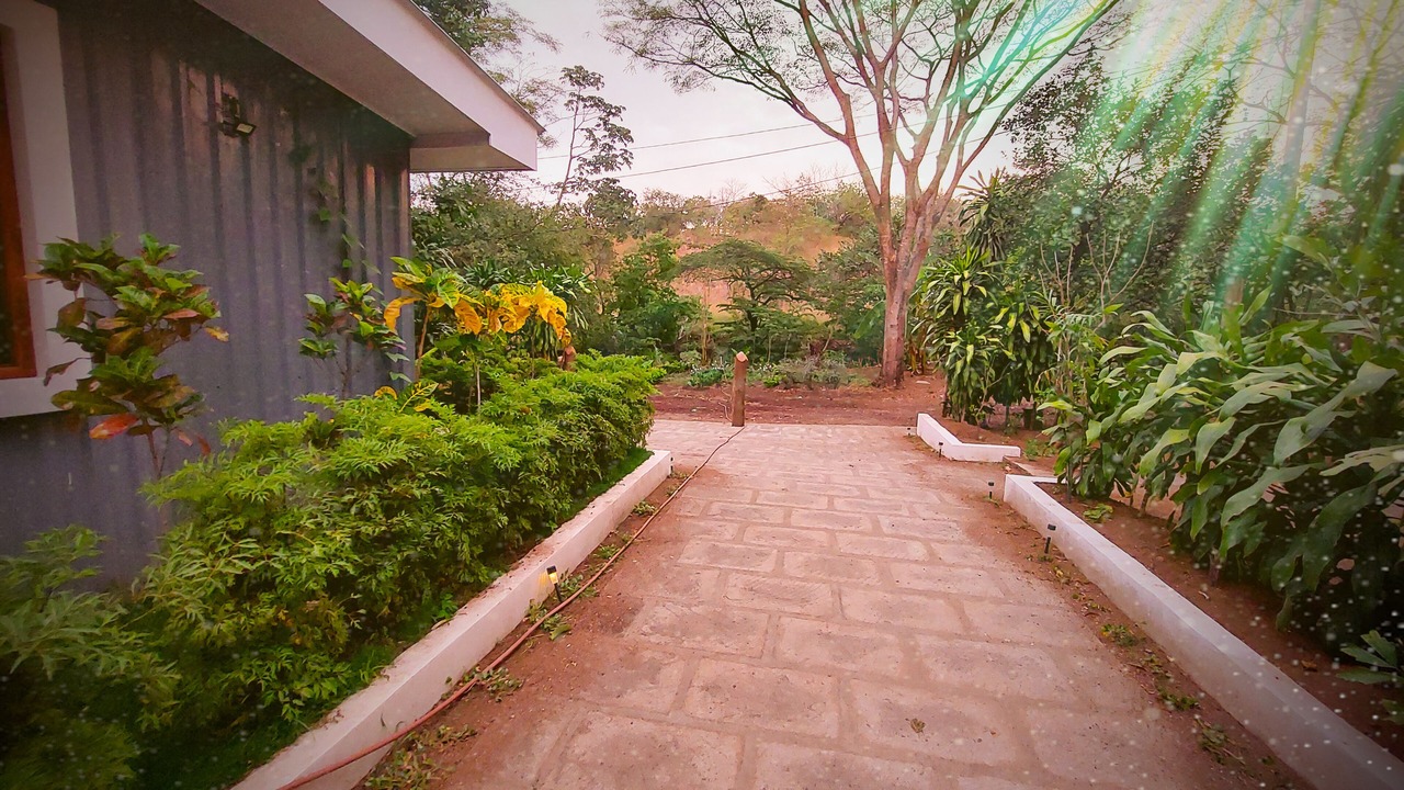 Photo of Outdoor in Managua
