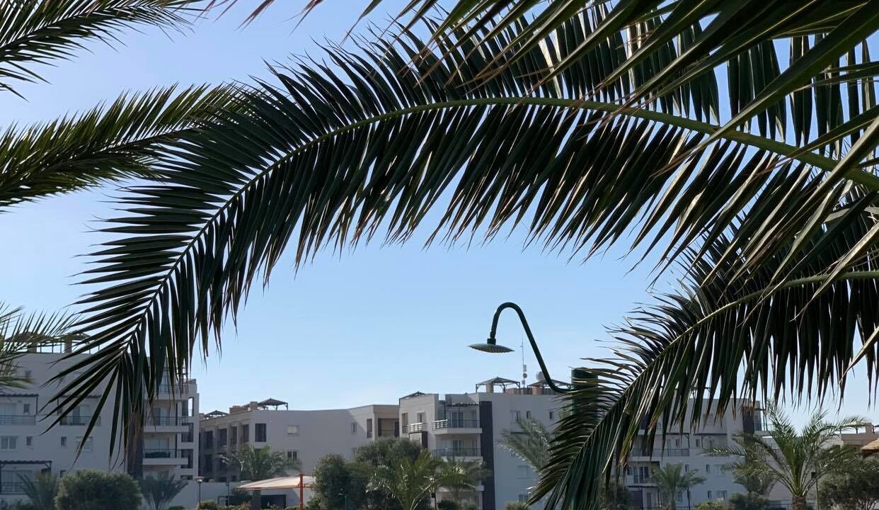 Photo of Outdoor in Bafra