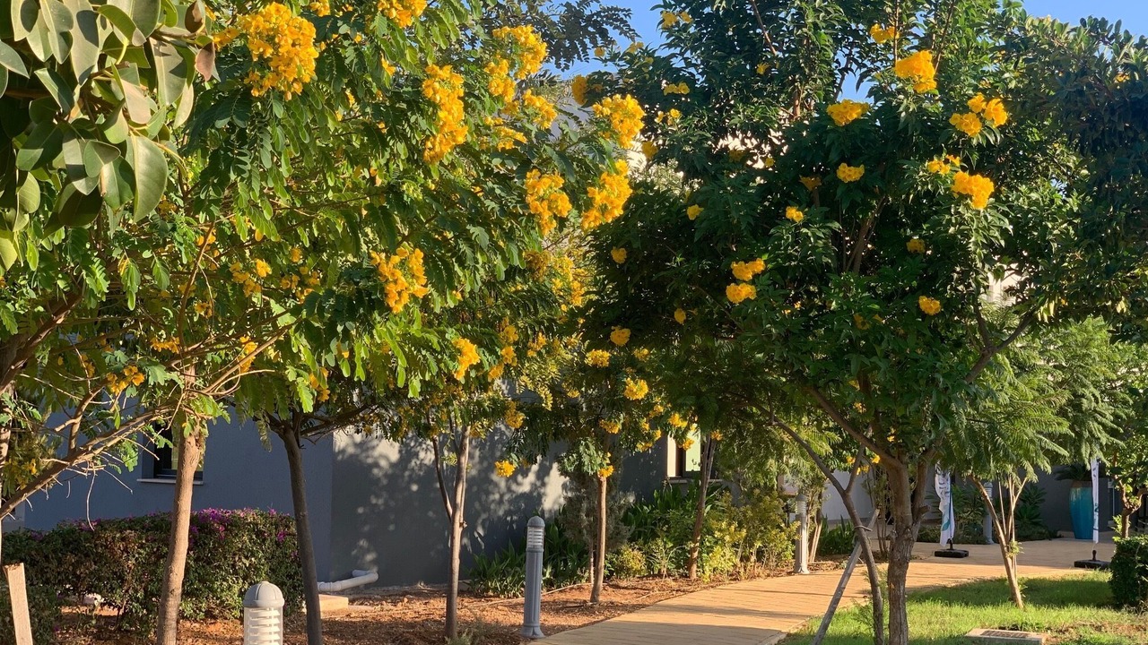 Photo of Outdoor in Bafra