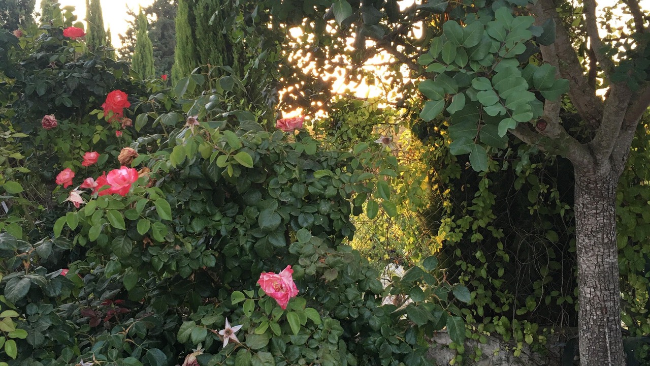 Photo of Outdoor in Tsada