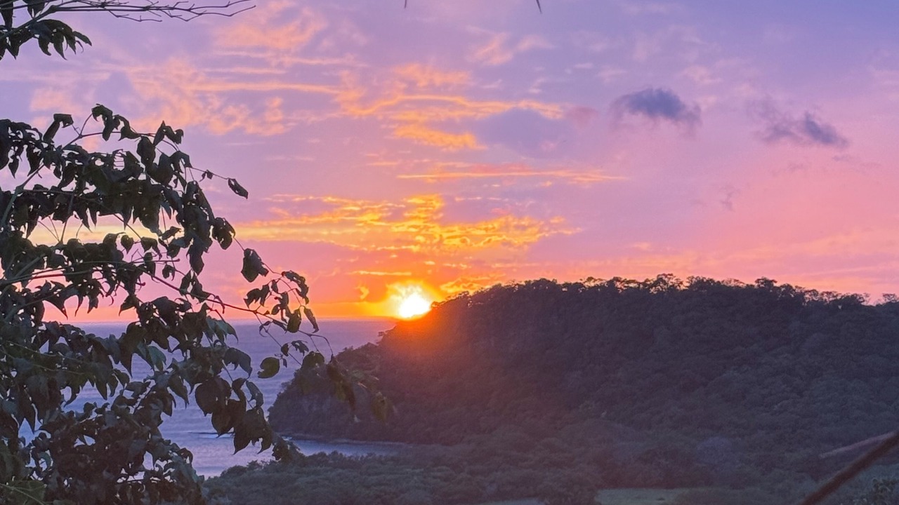 Photo of Others in San Juan del Sur