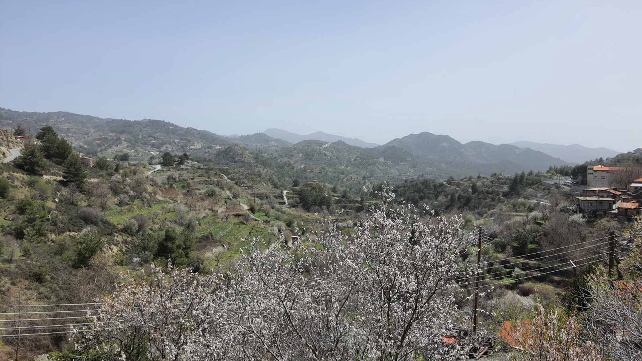Photo of Outdoor in Kyperounta