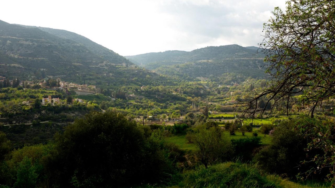 Photo of Others in Dhoros