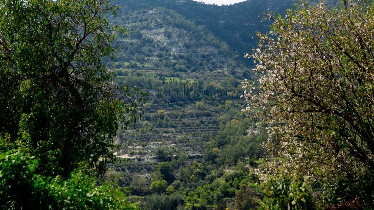 Photo of Others in Dhoros