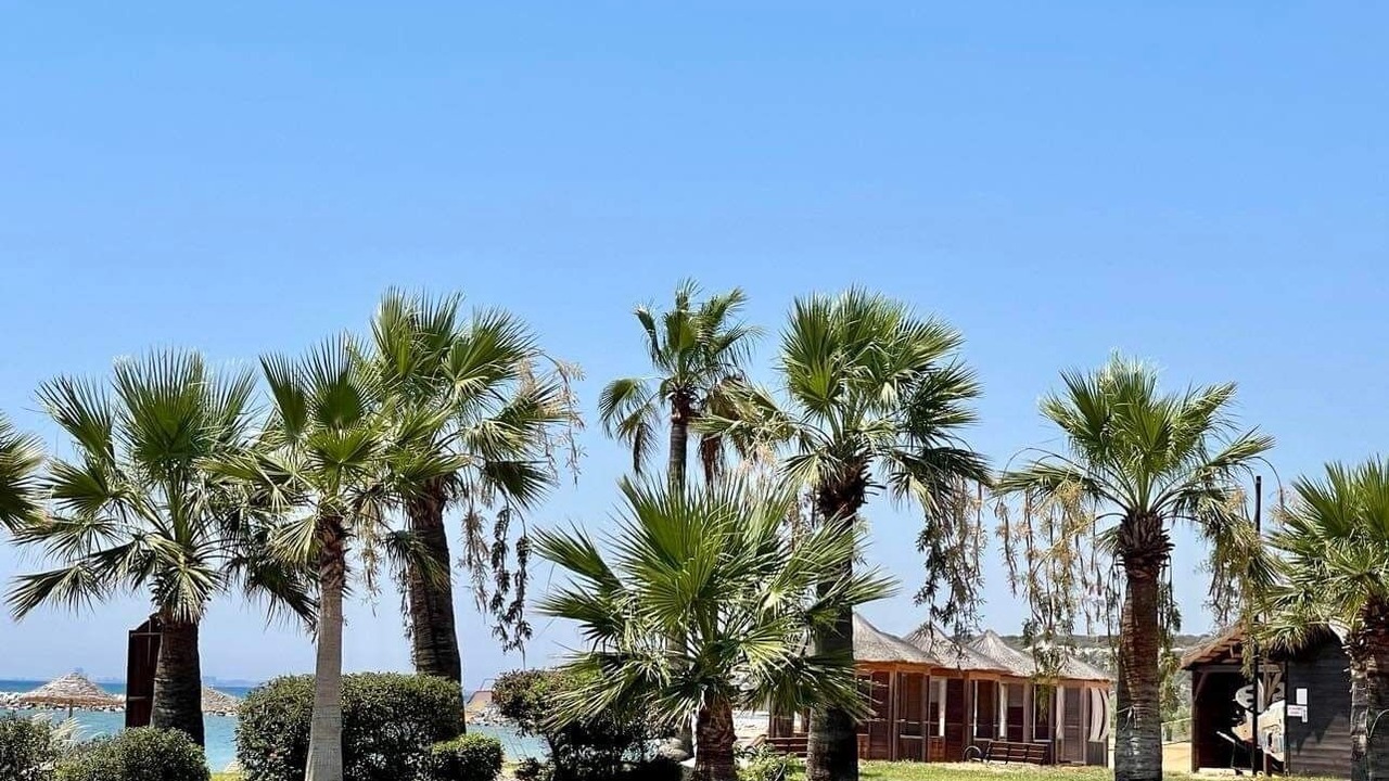 Photo of Outdoor in Bafra