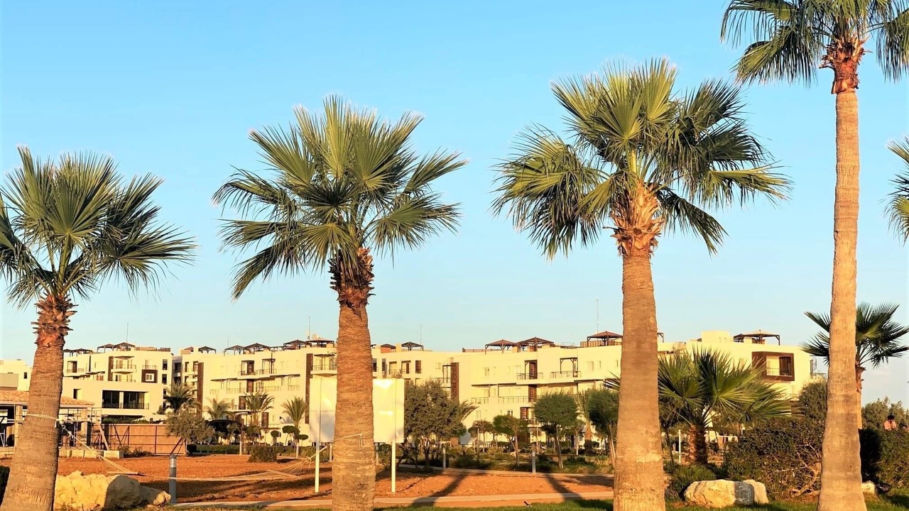 Photo of Outdoor in Bafra