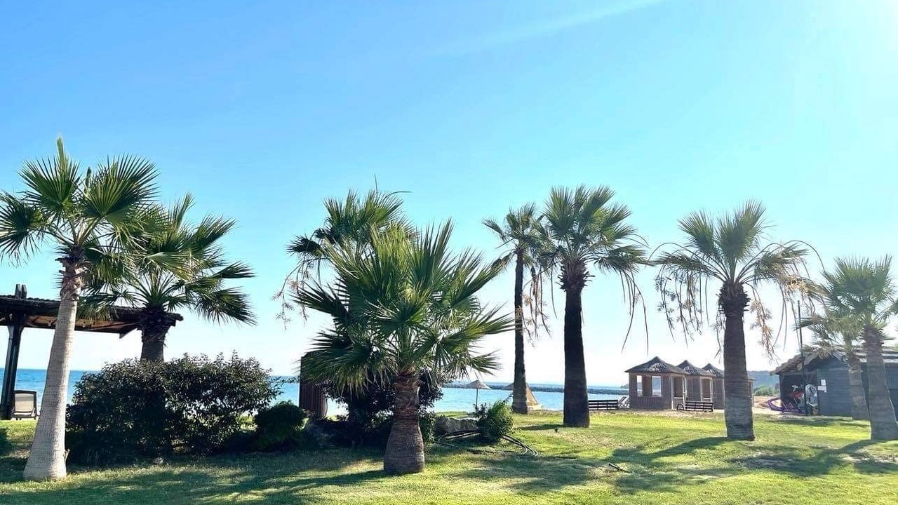 Photo of Outdoor in Bafra
